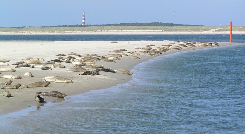 'T Strandhuys En De Vuurtoren, Met Eigen Keuken, Zonnig Terras Nabij Dorp, Duinen En Strand, Incl Verwarmd Binnen Zwembad Hollum  Pokój zdjęcie