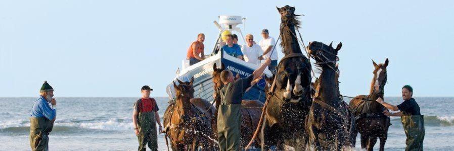 'T Strandhuys En De Vuurtoren, Met Eigen Keuken, Zonnig Terras Nabij Dorp, Duinen En Strand, Incl Verwarmd Binnen Zwembad Hollum  Zewnętrze zdjęcie